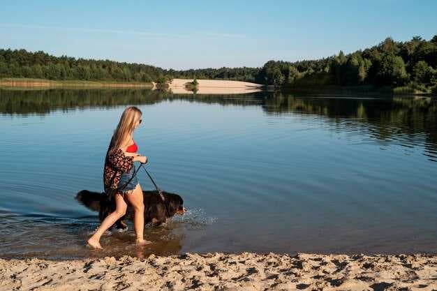 Safety Tips for Boating with Your Dog - A Practical Guide