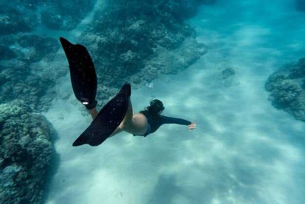 Scuba Diving & Freediving in Cabo San Lucas - The Ultimate Guide