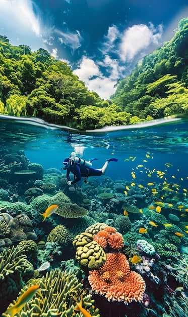 Scuba Diving in Tahiti - The Best Spots Across the Islands
