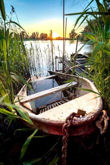 Search Pontoon Rentals in Cape Coral, Florida | Best Rates & Boats