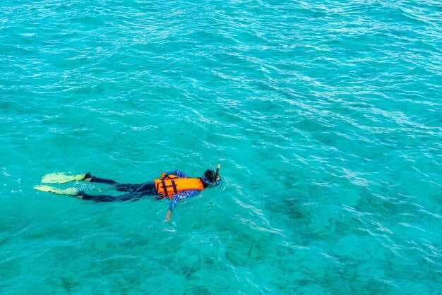 Snorkeling Marco Island - Top Spots, Tips, and Marine Life