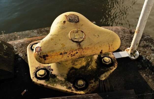Submerged Outboard - What to Do Immediately to Stay Safe and Protect Your Engine