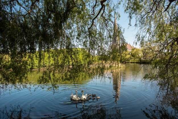 Swamp Tour Party Boats - Best Guided Tours for Wildlife, Scenery, and Fun