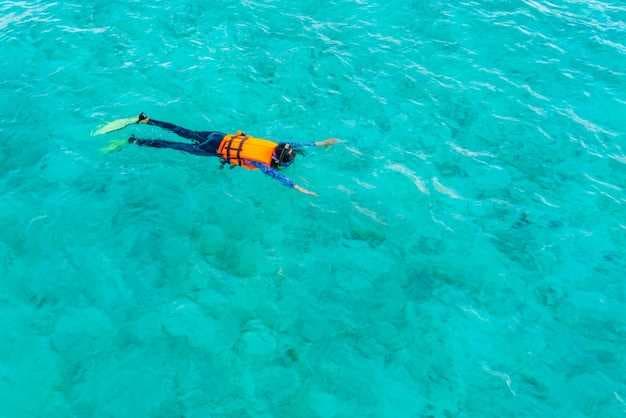 The 7 Best Key West Snorkeling Tours for 2026 - Reviews &