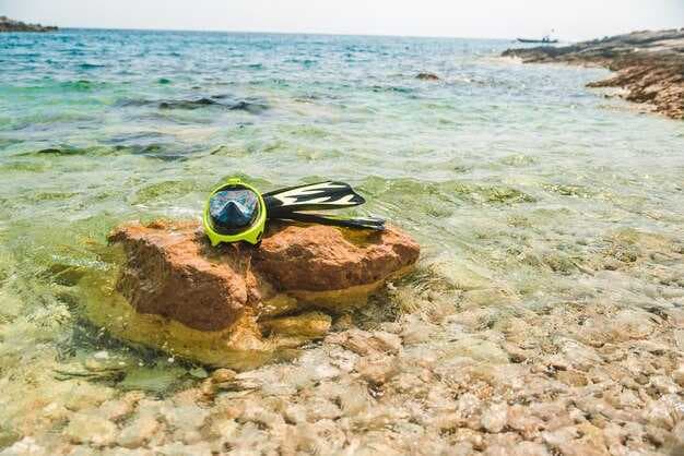 The 7 Best Snorkeling Spots in Puerto Rico - Top Reefs, Beaches & Marine Life