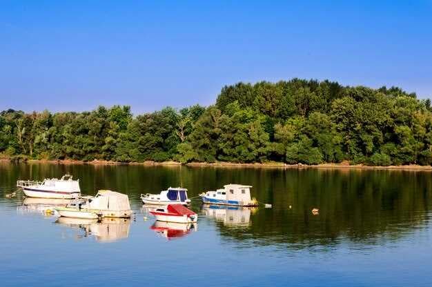 The Best Boat Rentals in Alabama - Explore Stunning Waters and Scenic Adventures
