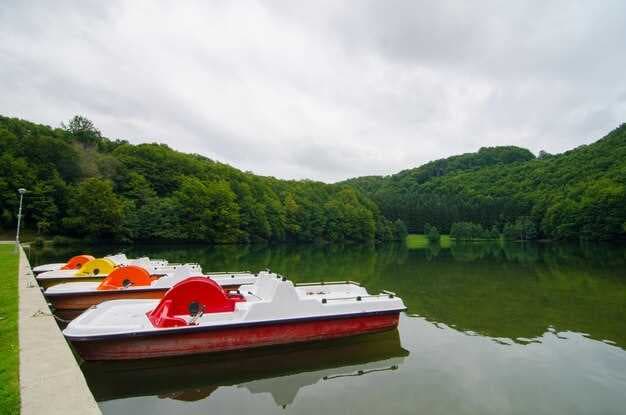 The Best Boat Rentals in Torch Lake - Explore the Scenic Waters Today!
