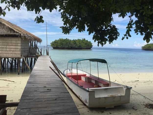 The Best Pontoon Rentals in Anna Maria Island - Top Picks