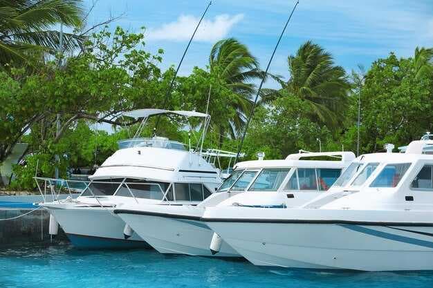 The Best Yacht Rentals in Punta Cana | Luxury Charters & Boat Rentals