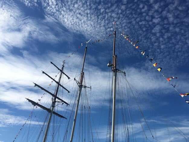 The Physics of Sailing - How Wind, Sails, and Hydrodynamics Drive Efficient Voyages