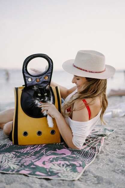 The Ultimate Guide to Boating with Cats - Safety, Gear, and Tips