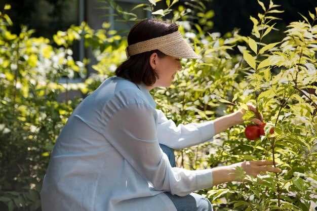 The Ultimate Guide to Brandywine Tomatoes - Growing Tips, Benefits, and Recipes