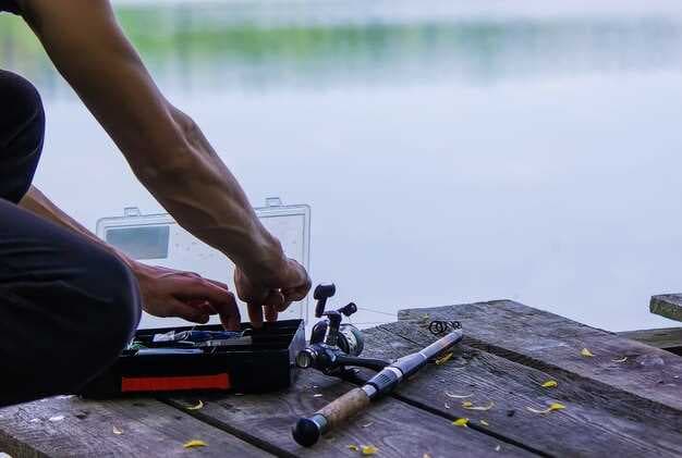 The Ultimate Guide to Gulf Coast Fishing - Tips, Spots, Gear