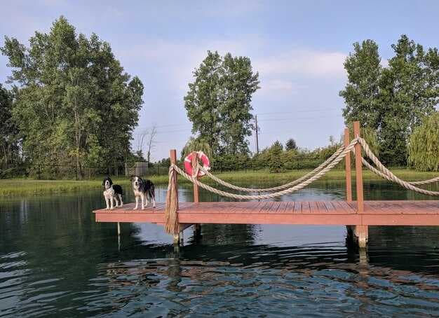 Things to Do at Grapevine Lake - Top Activities, Attractions, and Outdoor Fun