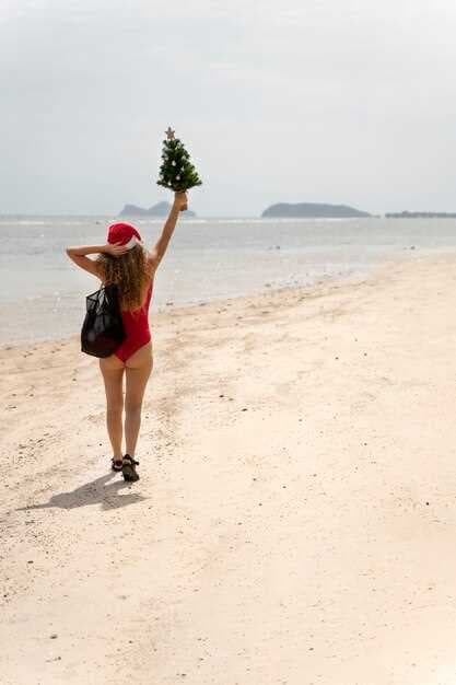 Things to Do in Palm Beach in February - A Complete Winter Guide