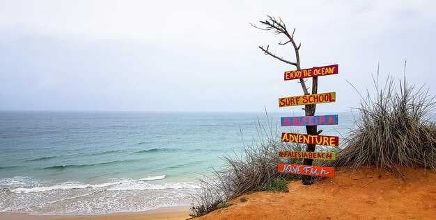 Things to Do in Virginia Beach This September - Top Events, Activities & Attractions
