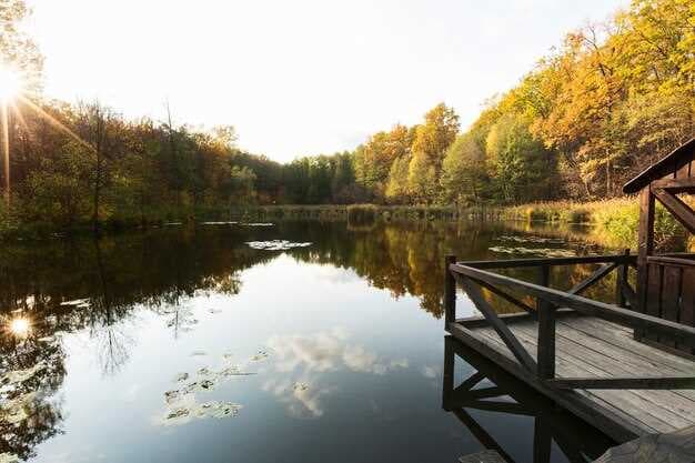This Mountain Lake Community - Your Ultimate Peaceful Escape in Western North Carolina and Home to the State's Largest National Forest