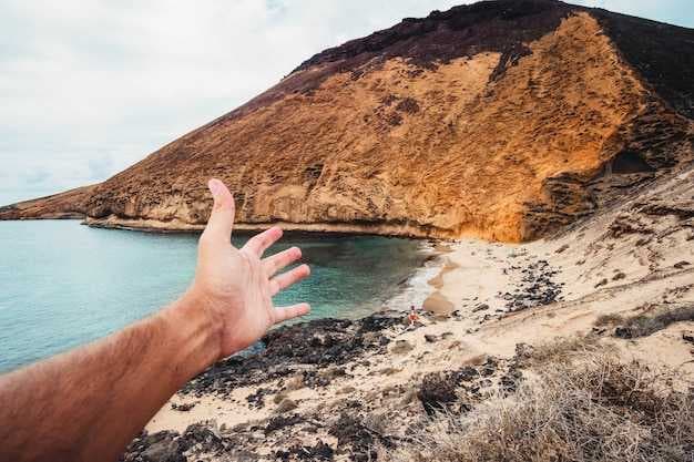 Top 10 Cabo San Lucas Whale Watching Tours in Baja California Sur