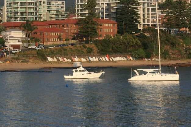 Top 10 San Diego Cruise Excursions - Best Shore Experiences