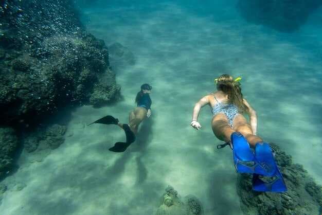 Top 10 Scuba Diving Spots in Florida - Best Places to Dive