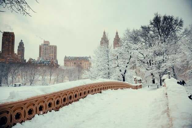 Top 12 Things to Do in Lake George, New York in January