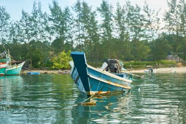 Top 6 Lakes in Arizona for Boating - Best Spots for Water Recreation