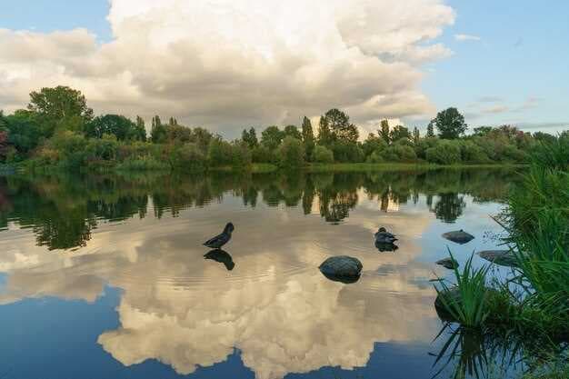 Top 9 Pristine Lakes in Minnesota - Absolutely Stunning, Crystal-Clear Waters
