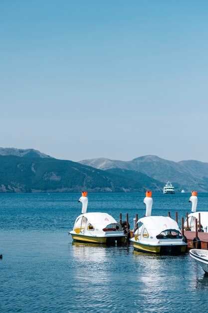 Top Boat Rentals Near Vernon - Explore the Water with the Best Choices!