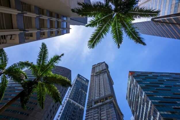 Top Brokers and Dealers in Fort Lauderdale, Miami, Florida & Puerto Rico - Find Your Perfect Match