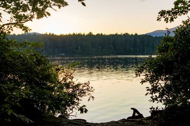 Top Lake Towns in South Carolina - 13 Beautiful Lakes to Live By in 2026