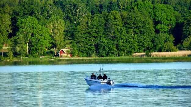 Top North Georgia Boat Rentals at Lake Chatuge - Explore the Best Water Adventures