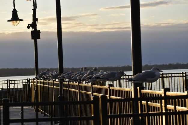 Top Restaurants and Bars Around Lake Conroe - A Local's Guide to Dining and Nightlife