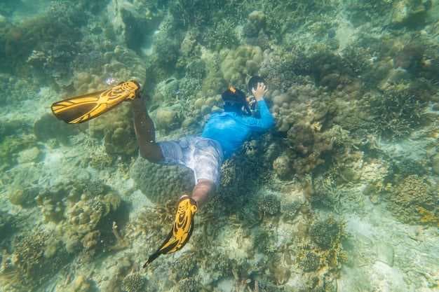 Top Snorkeling Charters Around Islamorada, FL | Best Reef Tours & Private Charters