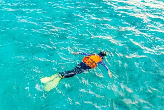 Top Snorkeling Spots in Miami - Discover the Best Places to Explore Underwater