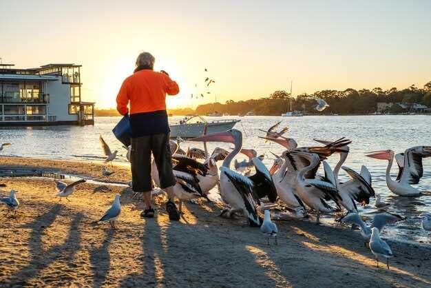 Top U.S. States for Crab Fishing - Discover the Best Places to Catch Crabs