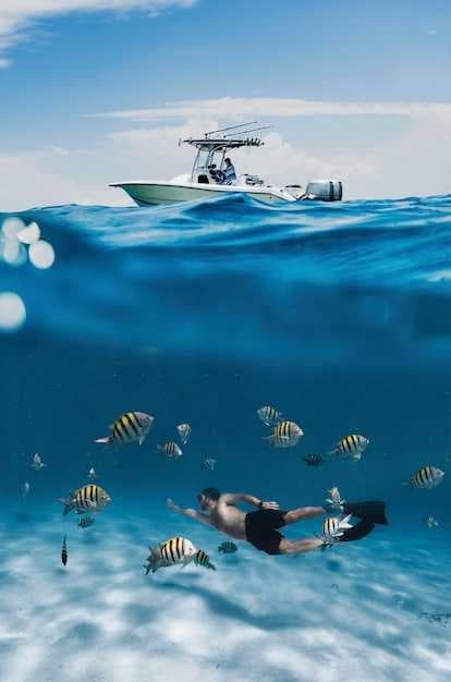 Underwater Exploration - 8 Tips for Snorkeling &