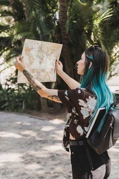 Wandering in Disney - The Ultimate Guide to Exploring Disney Parks