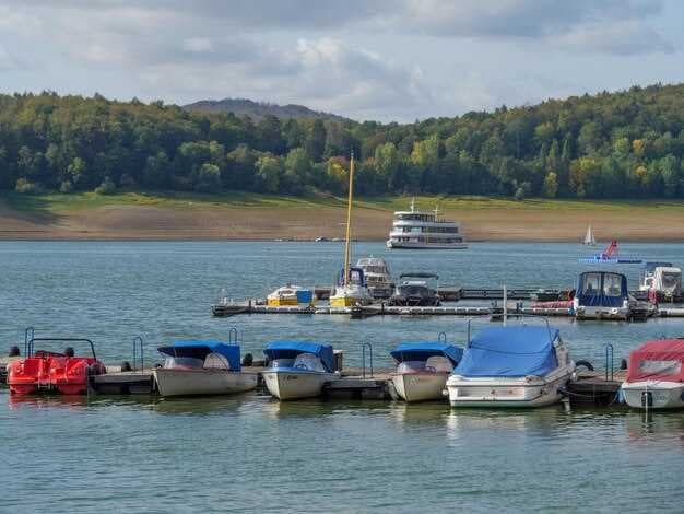 Wellington's Best Fishing Charters - Top Fishing Trips in Wellington