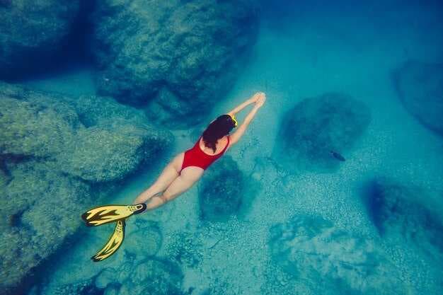 Where is the Best Diving in the Bahamas? Top Sites and Tips
