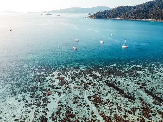 Where to Sail in January - Top Winter Sailing Destinations
