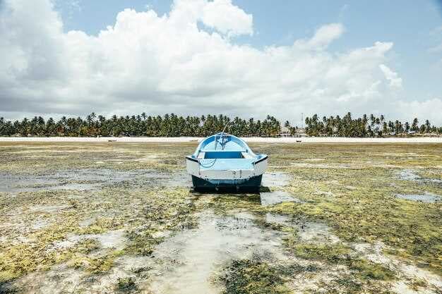 Your Ultimate Guide to Power Boating in Florida - Tips, Destinations, and Safety