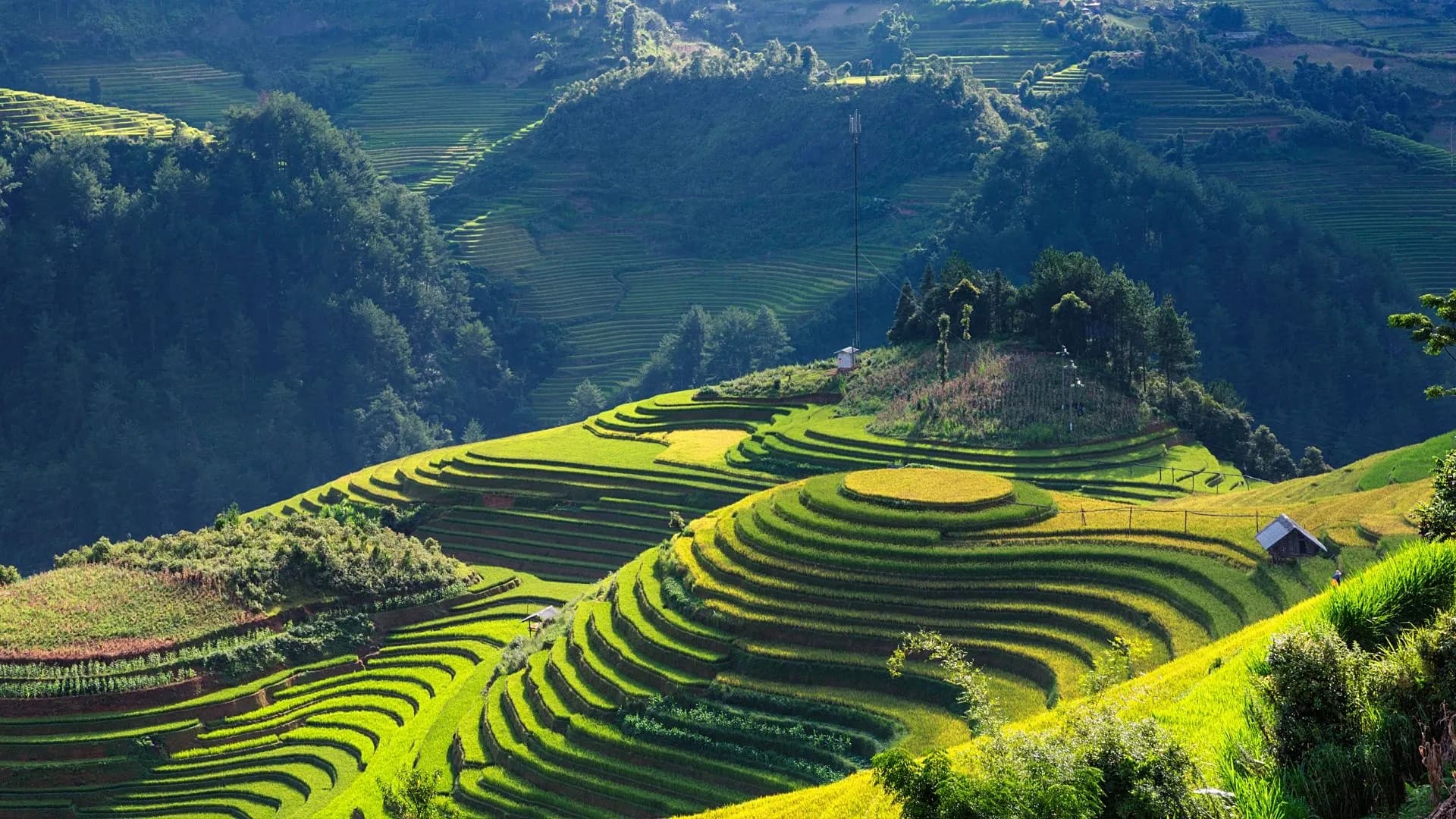 How Tripchaining Enhances Sustainable Travel