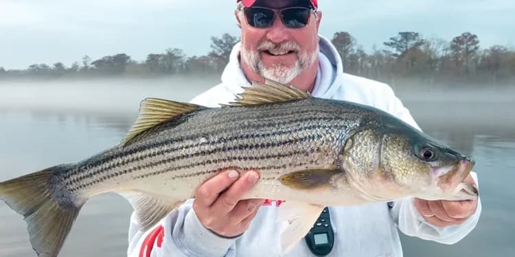 Optimal Timing for Generating Big Catches