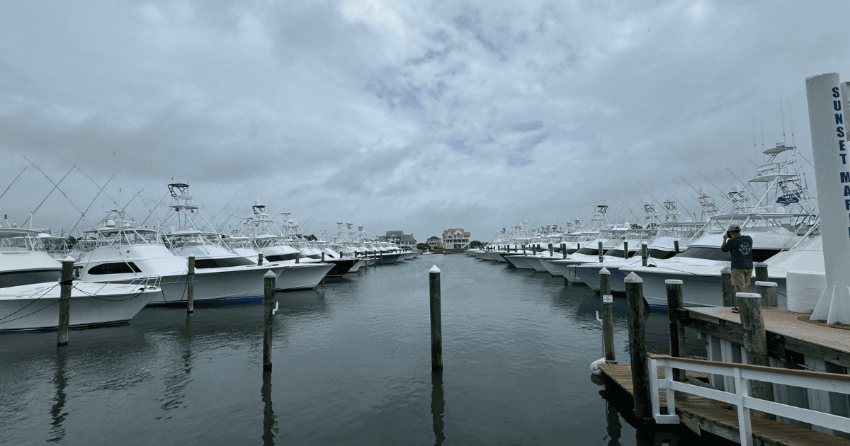 MacGregor Yachts au Pirate's Cove Billfish Tournament