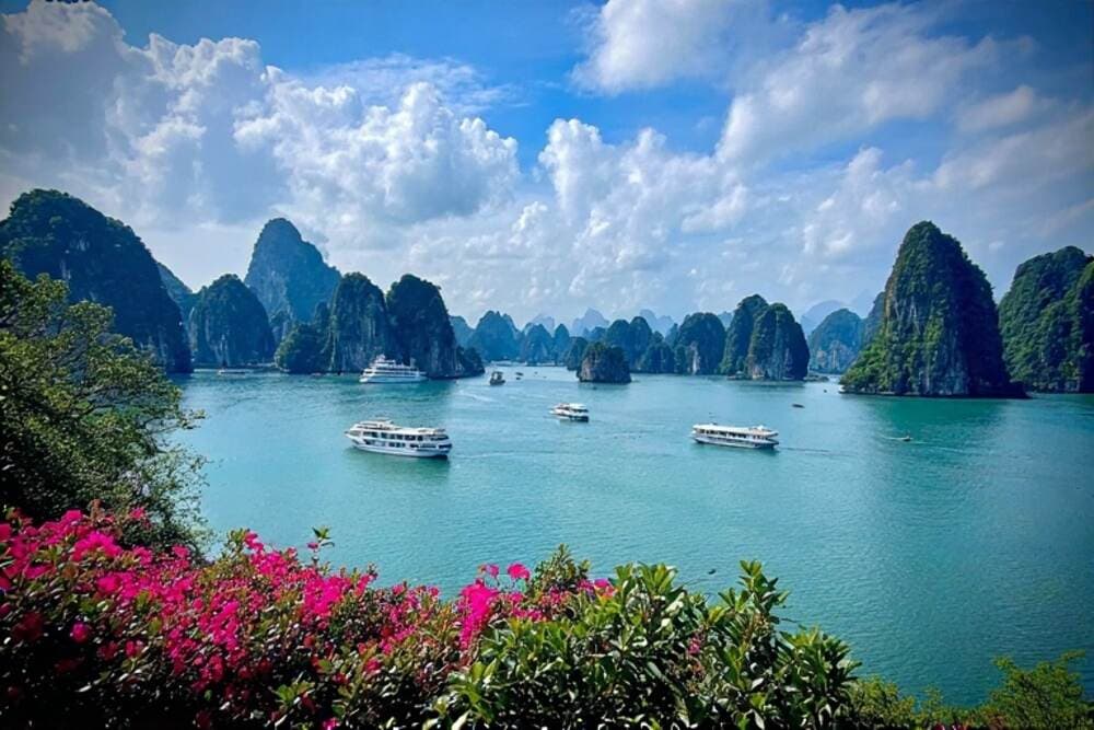 Vietnam's Tourist Influx: Aiming for 25 Million Visitors