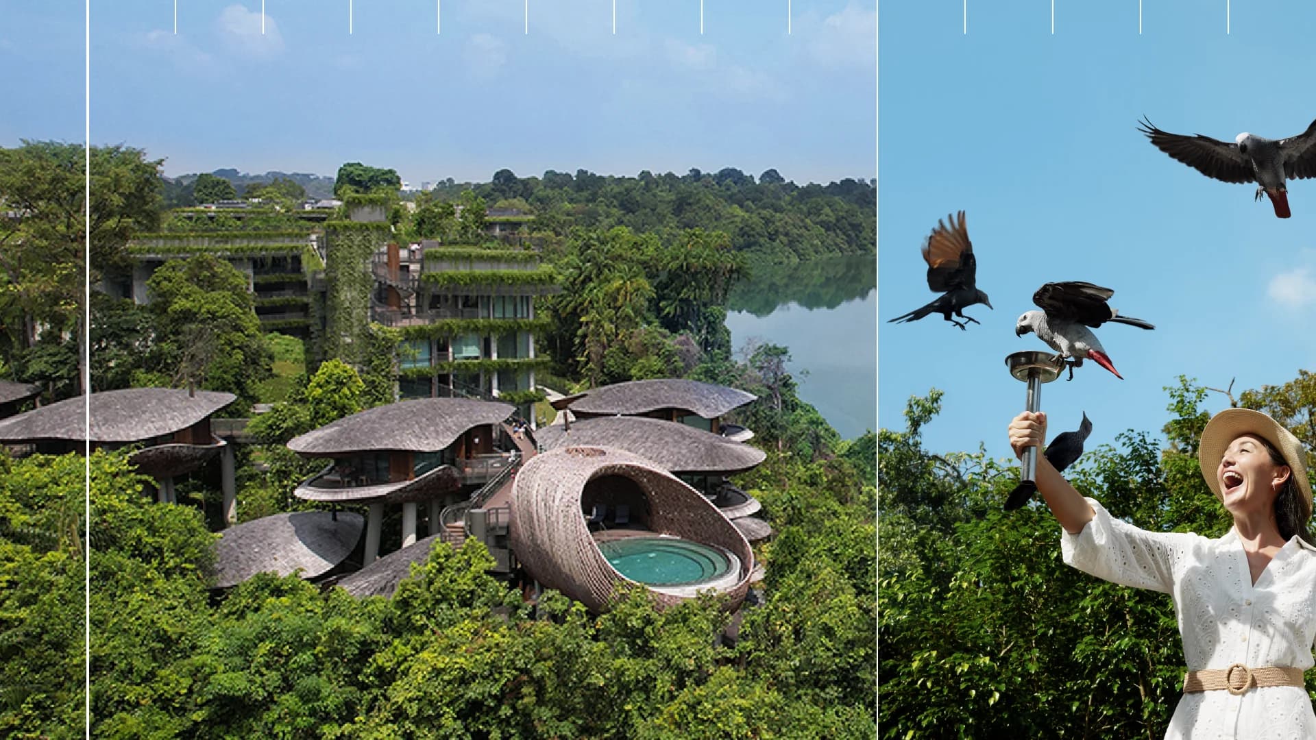 Banyan Group Launches 100 Days of Global Celebrations Ahead of 100th Property Opening