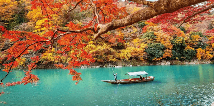 Kyoto Emerges as a Global Haven of Tranquility Amidst Tourism Buzz
