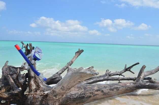 Crooked Island Bahamas Travel Guide - Best Beaches, Things to Do, and Wildlife