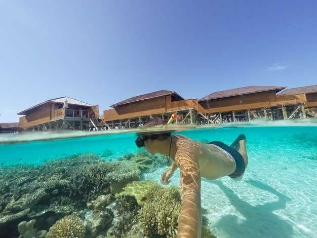 Great Barrier Reef Top 10 Attractions - Best Things to Do