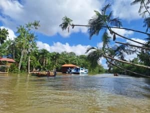 Immersive Regenerative Tourism Initiatives Highlighted at COP30 in Brazil's Amazon